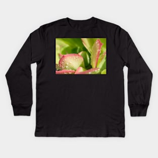 Succulent Kids Long Sleeve T-Shirt